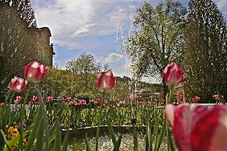 Badhotel otel fotoğrafı