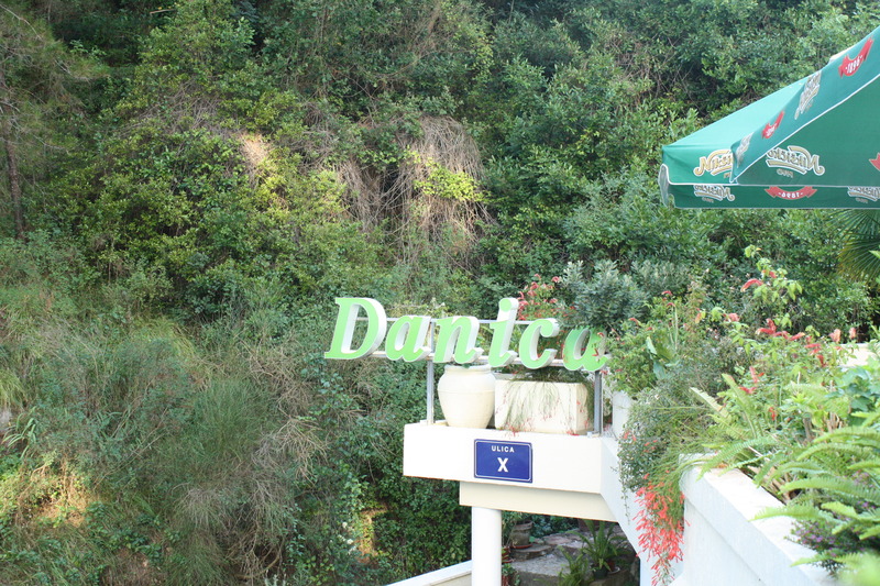 Danica - Genel