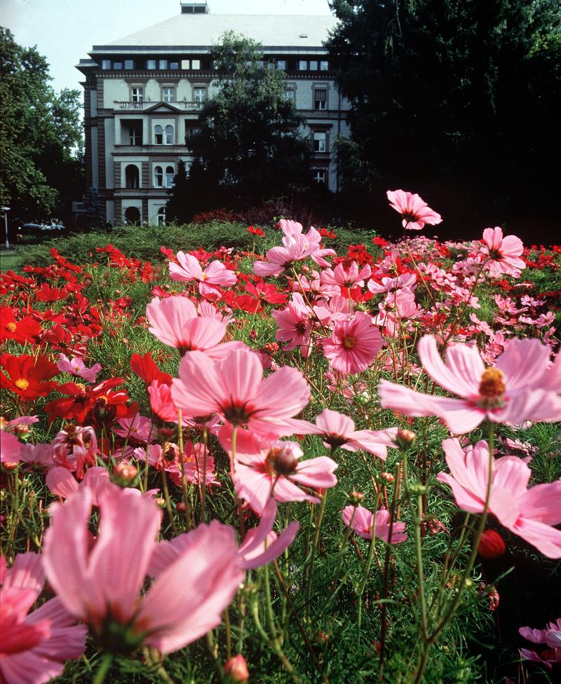 Ensana Grand Margaret Island - Genel