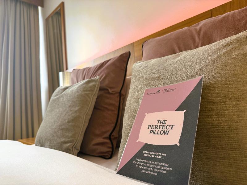 Conference Aston Hotel - Birmingham City - Oda