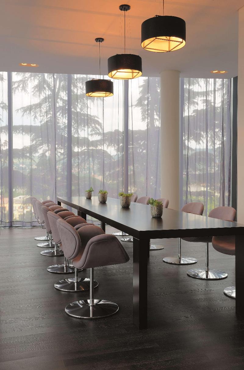 Radisson Blu Iveria Hotel, Tbilisi - Toplantı