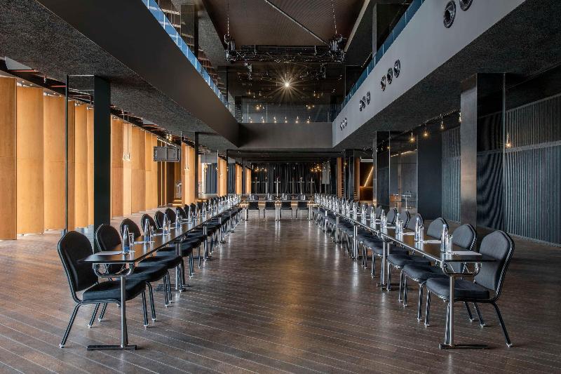 Radisson Blu Iveria Hotel, Tbilisi - Toplantı