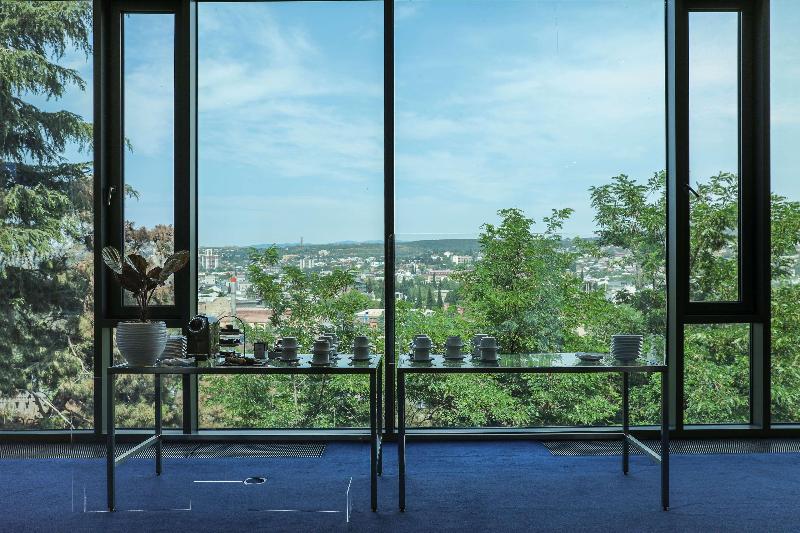 Radisson Blu Iveria Hotel, Tbilisi - Toplantı