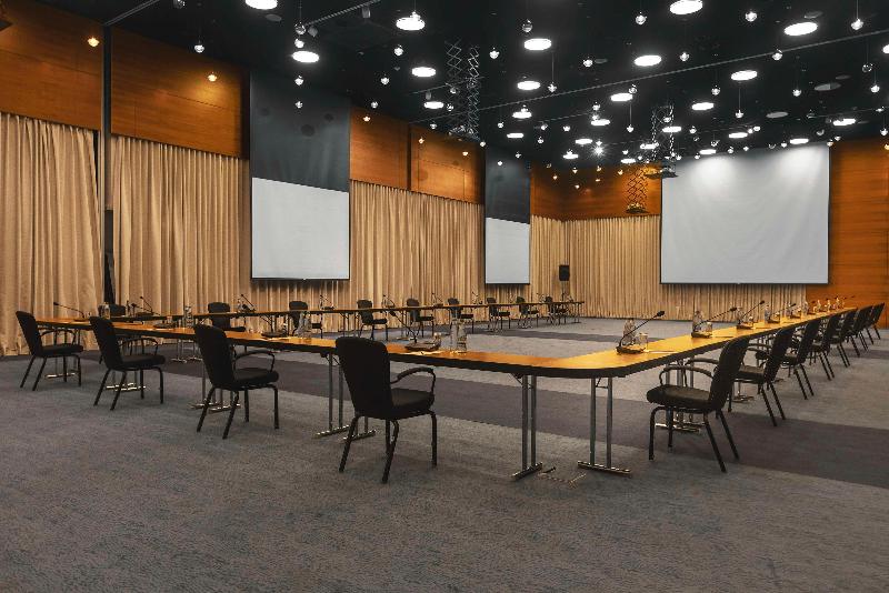 Radisson Blu Iveria Hotel, Tbilisi - Toplantı