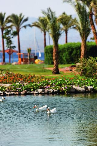 Movenpick Resort Taba fotoÄŸrafÄ±