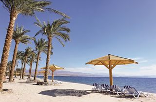 Movenpick Resort Taba fotoÄŸrafÄ±