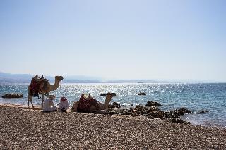 Movenpick Resort Taba fotoÄŸrafÄ±
