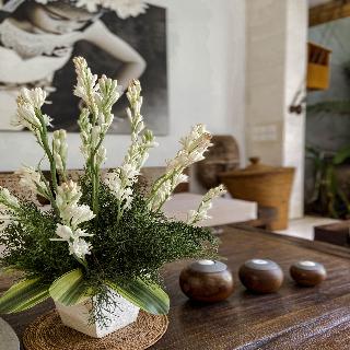 Villa Chocolat fotoÄŸrafÄ±