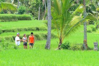 Ashoka Tree Resort at Tanggayuda Ubud fotoÄŸrafÄ±