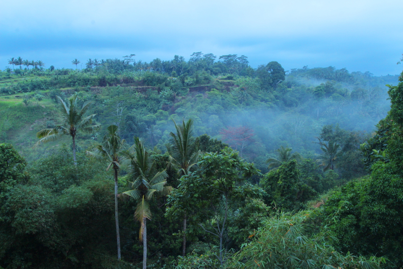 Ashoka Tree Resort at Tanggayuda Ubud - Genel