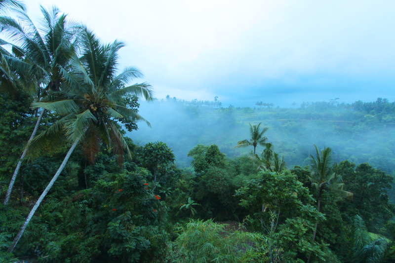 Ashoka Tree Resort at Tanggayuda Ubud - Genel