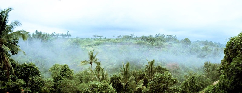 Ashoka Tree Resort at Tanggayuda Ubud - Restoran
