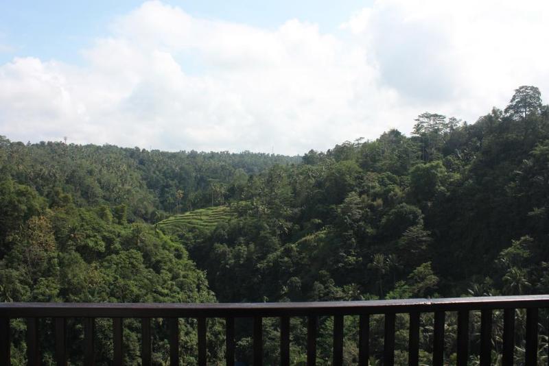 Rijasa Agung Resort & Villas - Genel