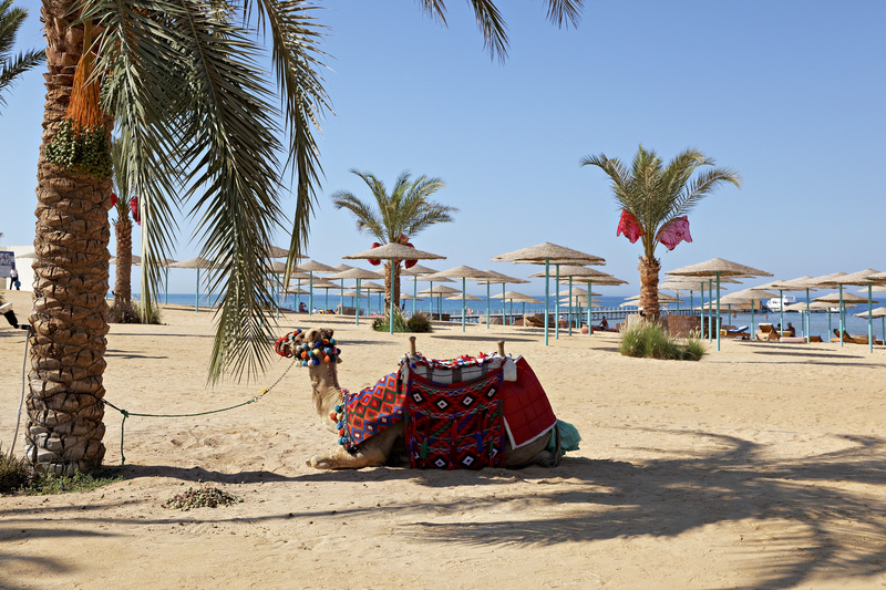 The Three Corners Sunny Beach Resort - Plaj