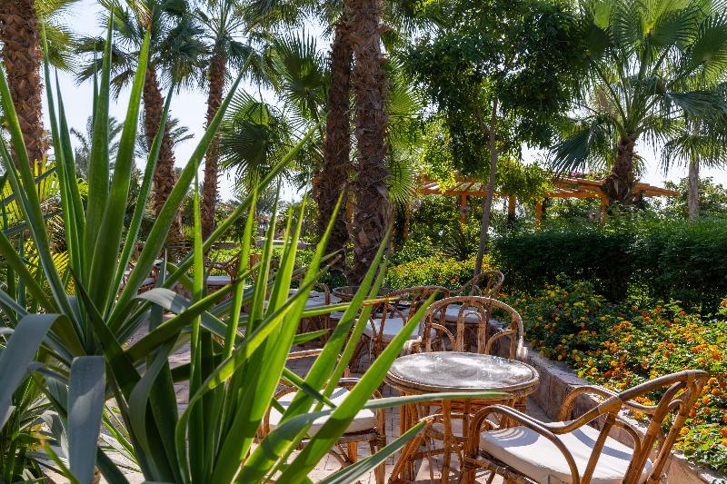 Fort Arabesque Resort, Spa and Villas - Bar