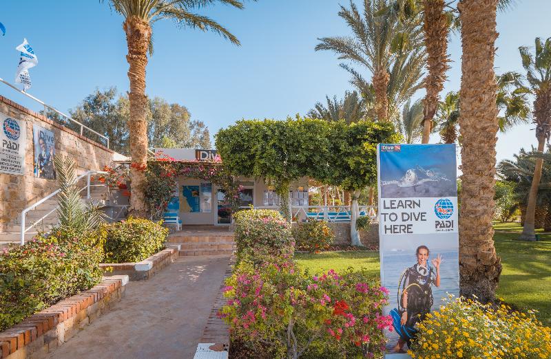 Fort Arabesque Resort, Spa and Villas - Aktivite
