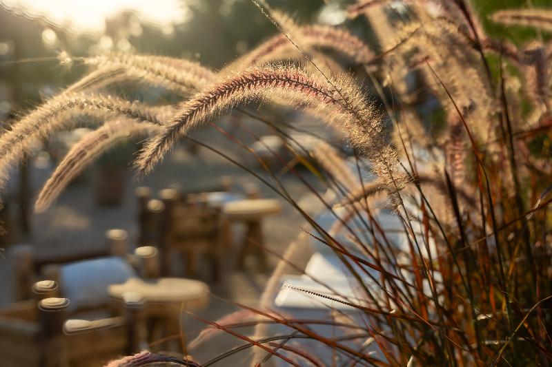 Fort Arabesque Resort, Spa and Villas - Plaj