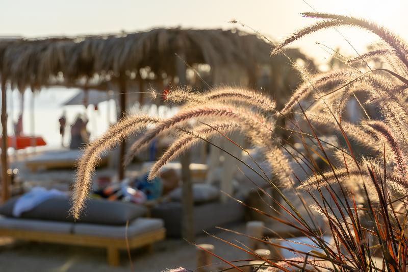 Fort Arabesque Resort, Spa and Villas - Plaj