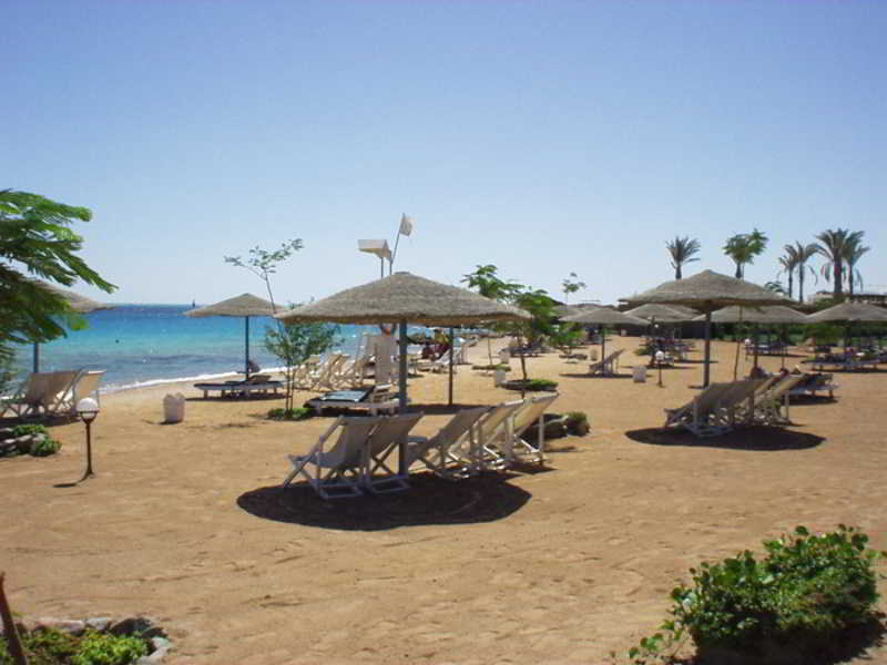 Sea Garden fotoÄŸrafÄ±