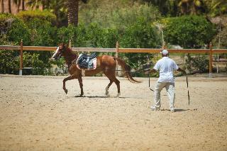 Movenpick Resort El Quseir fotoÄŸrafÄ±