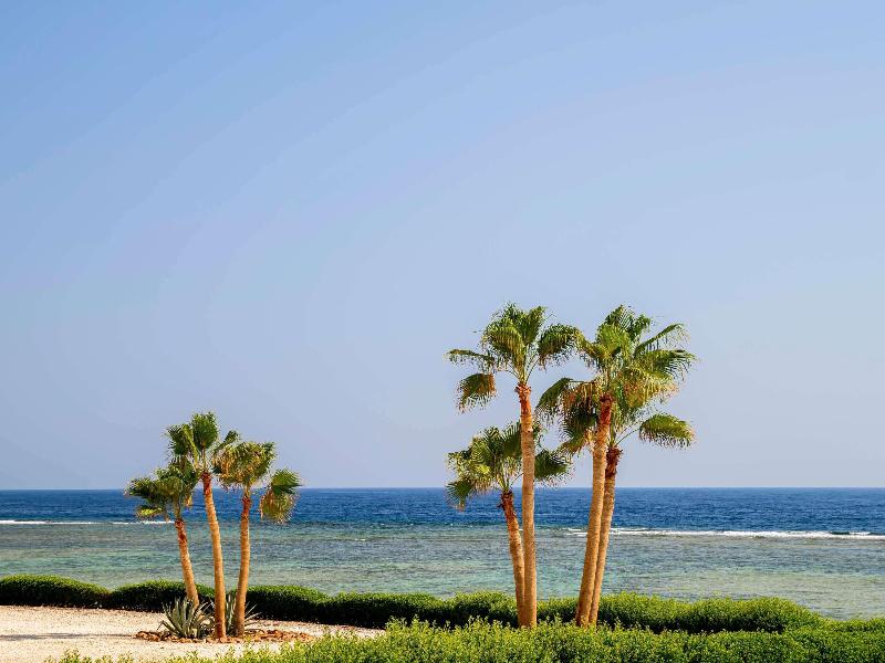 Movenpick Resort El Quseir - Genel