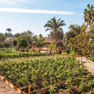 Movenpick Resort El Quseir fotoÄŸrafÄ±