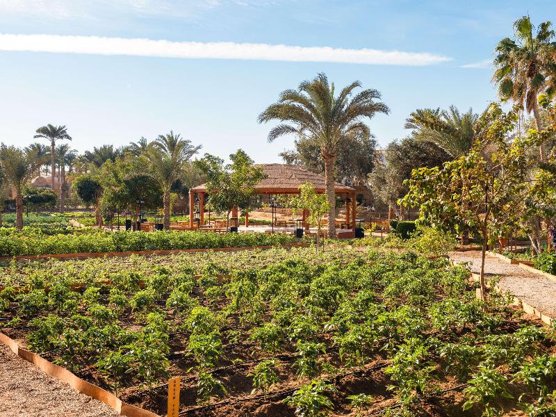 Movenpick Resort El Quseir - Genel