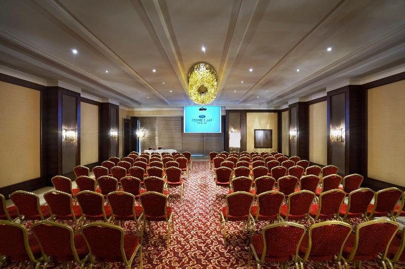 Crowne Plaza İSTANBUL - ASYA by IHG - Toplantı