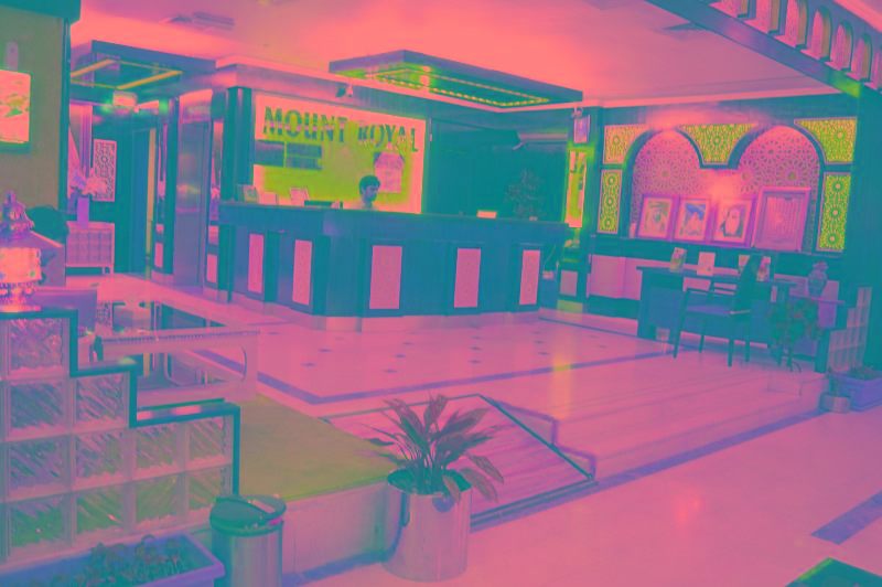 Mount Royal Hotel - Lobi
