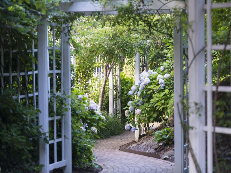 The Garden City Hotel - Genel