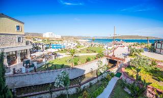 Cocos the Club Solto fotoÄŸrafÄ±