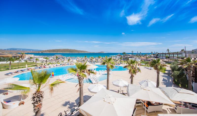 Cocos the Club Solto - Genel