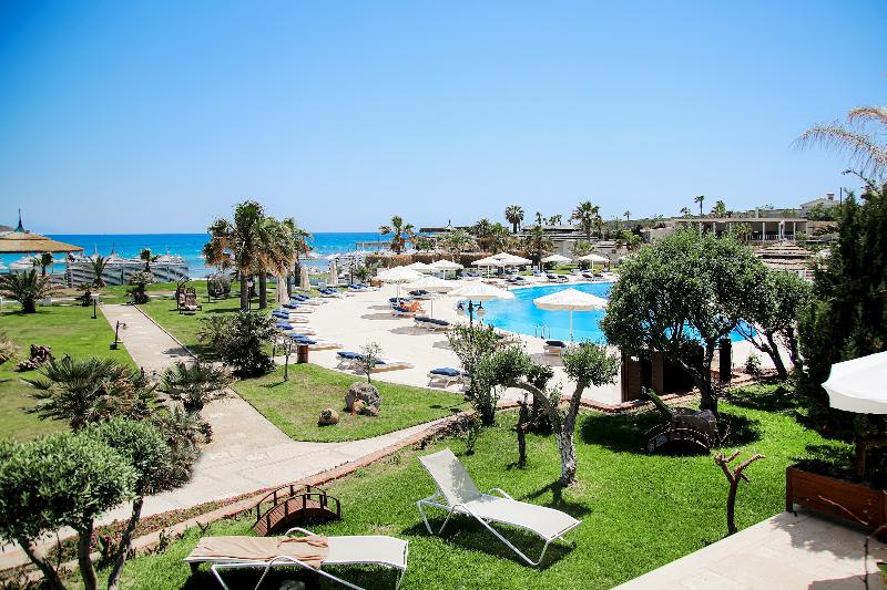 Cocos the Club Solto - Genel
