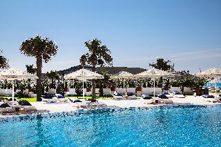 Cocos the Club Solto fotoÄŸrafÄ±