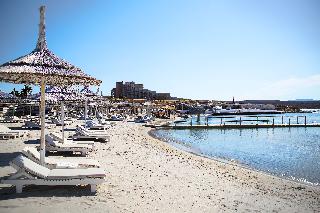 Cocos the Club Solto fotoÄŸrafÄ±
