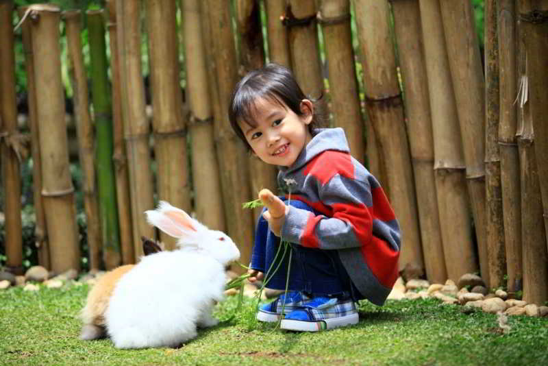 Novus fotoÄŸrafÄ±