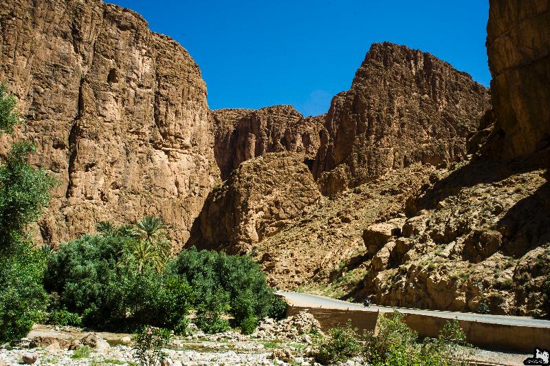 Saghro - Genel