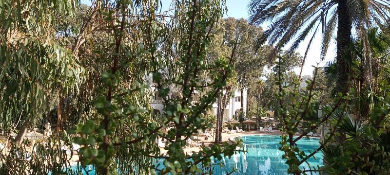 Tunisia Lodge - Teras