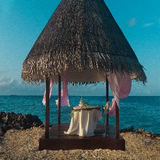 Taj Coral Reef Resort & Spa fotoÄŸrafÄ±