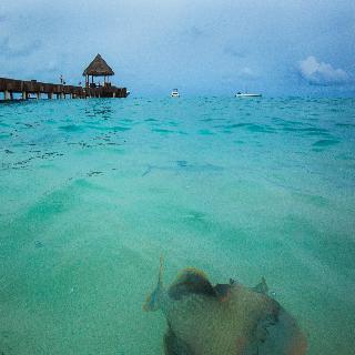 Taj Coral Reef Resort & Spa fotoÄŸrafÄ±