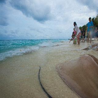 Taj Coral Reef Resort & Spa fotoÄŸrafÄ±