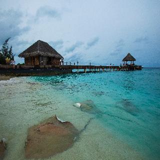 Taj Coral Reef Resort & Spa fotoÄŸrafÄ±