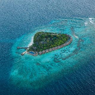 Taj Coral Reef Resort & Spa otel fotoğrafı
