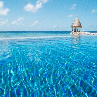 Taj Coral Reef Resort & Spa fotoÄŸrafÄ±