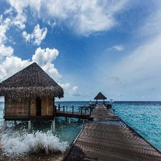Taj Coral Reef Resort & Spa fotoÄŸrafÄ±