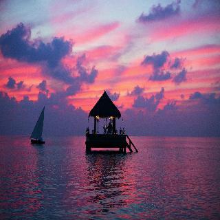 Taj Exotica Resort & Spa, Maldives fotoÄŸrafÄ±