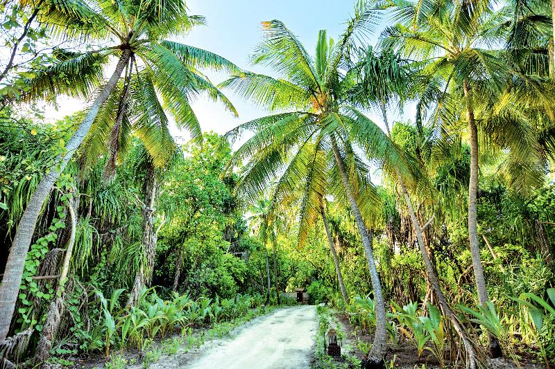Hideaway Beach Resort and Spa Dhonakulhi Maldives - Genel