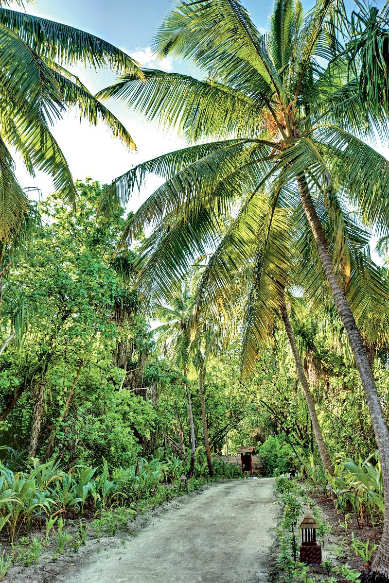 Hideaway Beach Resort and Spa Dhonakulhi Maldives - Genel