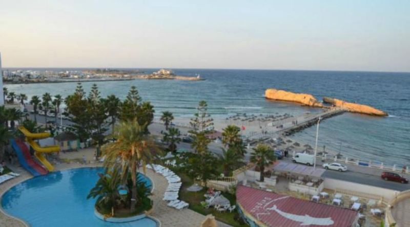 Delphin El Habib - Genel