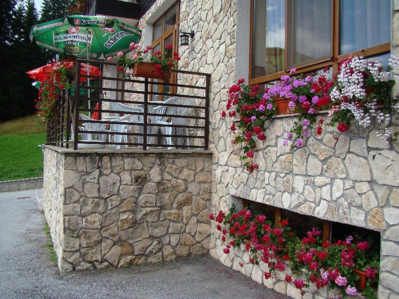Stream Resort - Teras